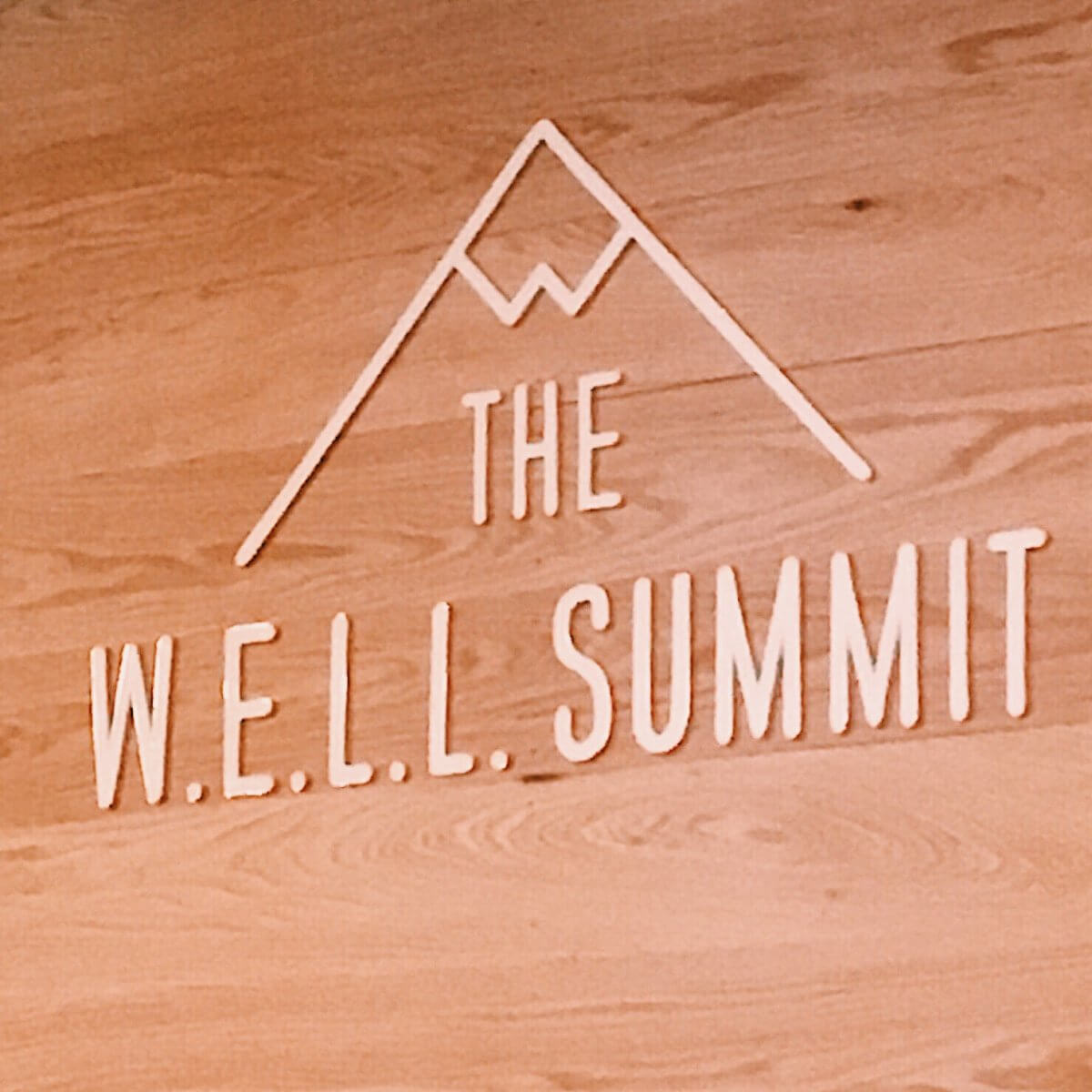 health, wellness, yoga, skincare, all natural, well summit 2017